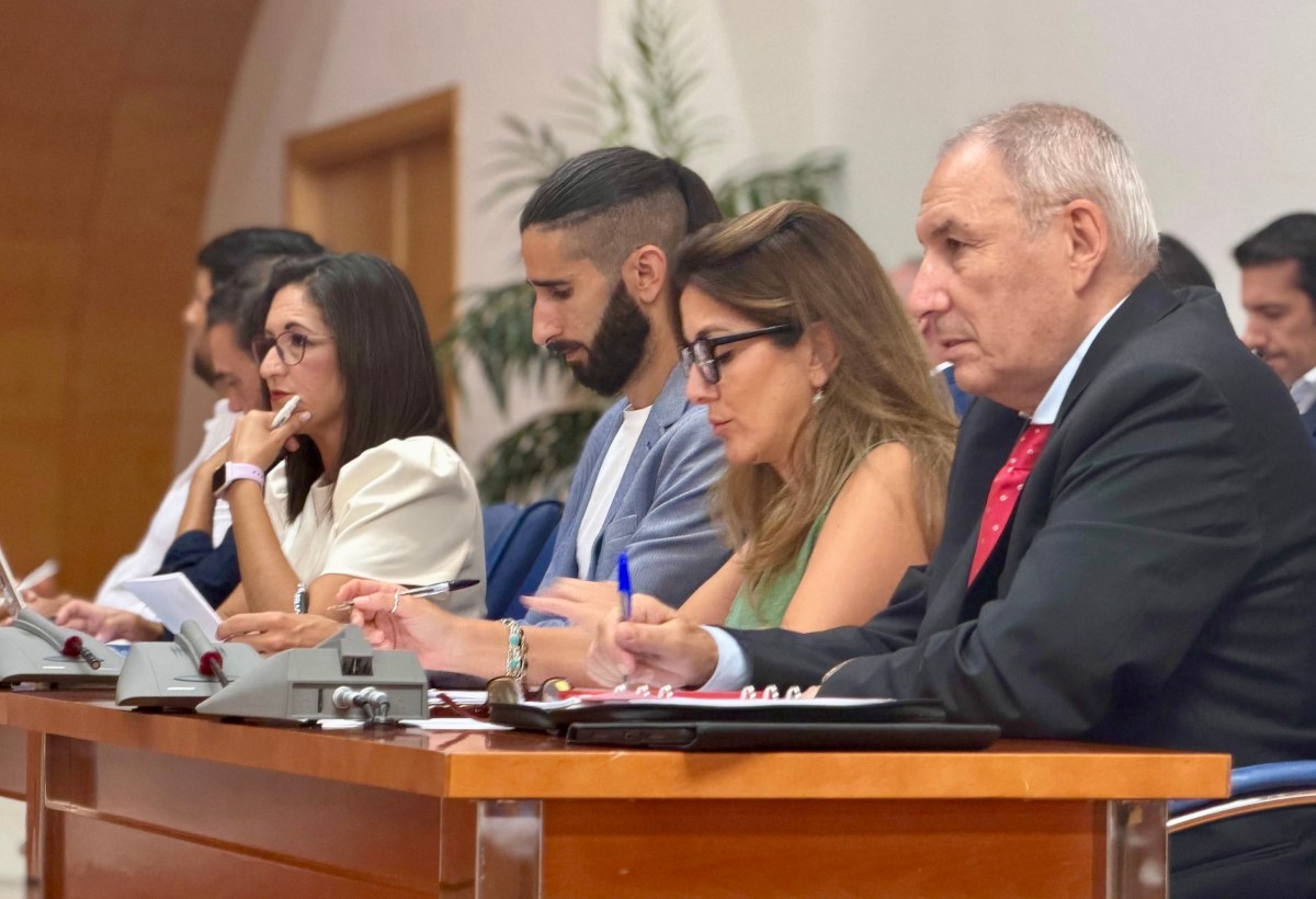 EL PLENO DE FUENGIROLA APRUEBA POR UNANIMIDAD LA MOCIÓN DEL PSOE PARA ADHERIRSE AL MOVIMIENTO GIRASOL EN APOYO A LAS DISCAPACIDADES INVISIBLES